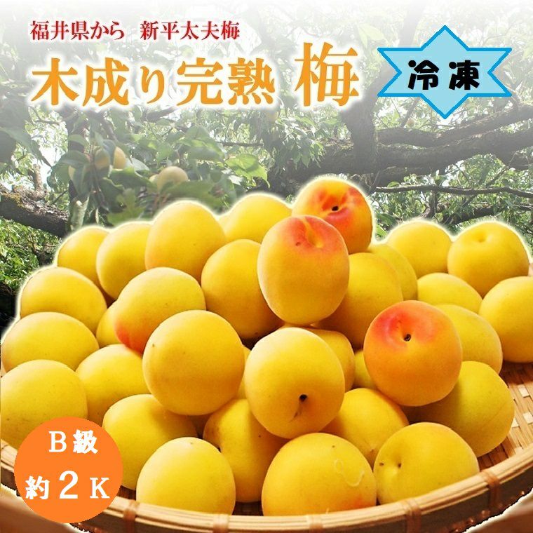 冷凍梅