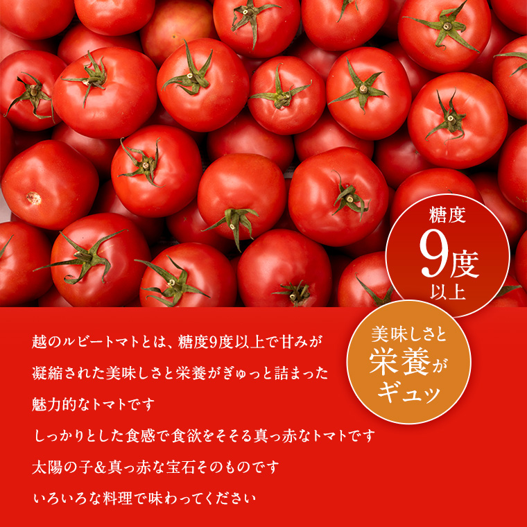 imgrc0104753524.jpg