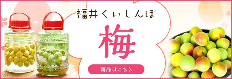 budou2.jpg