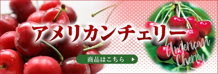 アメリカンチェリー.jpg