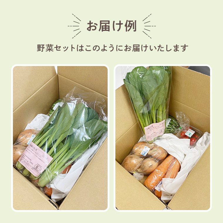 お届け例