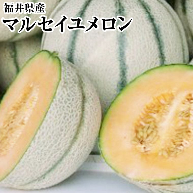 ⑥ゆきりん　長崎産赤肉マルセイユメロン‼️ ⑥ゆきりん様専用 長崎産赤肉マルセイユメロン‼️ - メルカリ