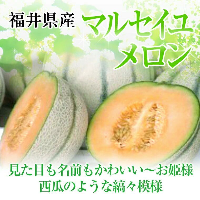 赤肉メロン 福井県産マルセイユメロン 花咲紅姫Lサイズ以上2玉 赤肉メロン 福井県産マルセイユメロン 花咲紅姫Lサイズ以上2玉