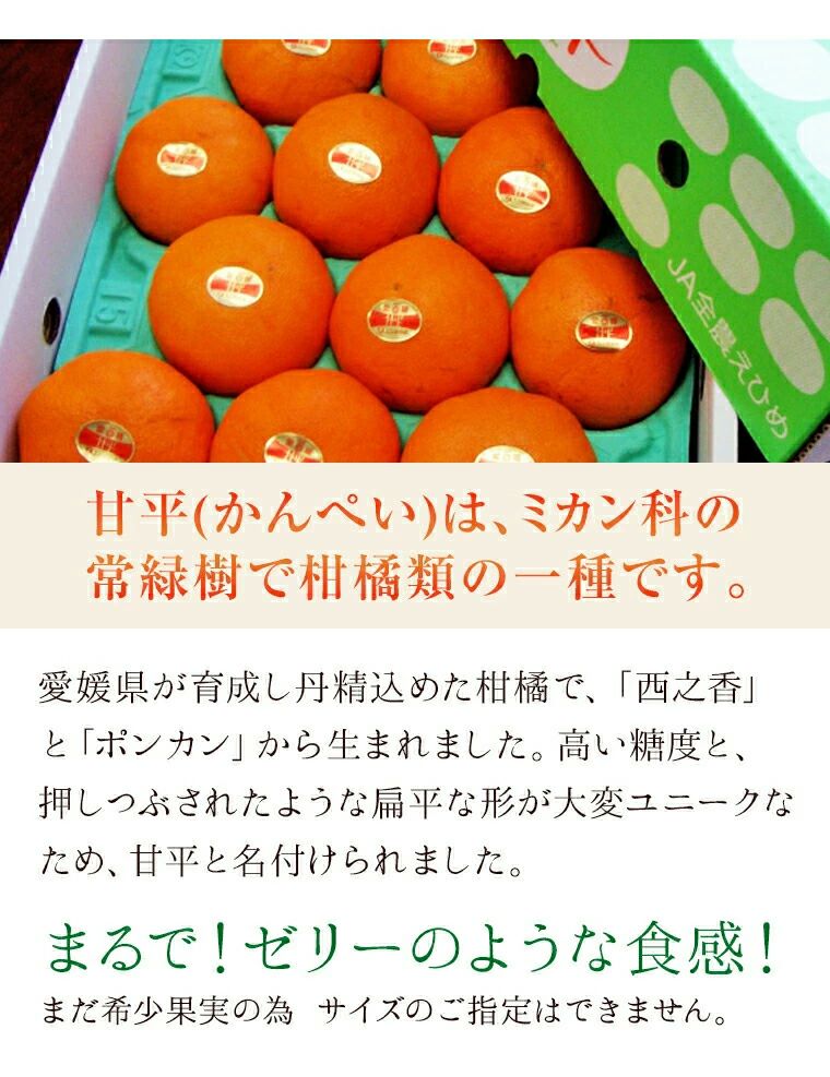 甘平】かんぺいみかん約１Ｋ（５玉-７玉）愛媛県産 予約商品です！2月