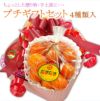 果物ギフト　フルーツプチギフトセット４種　食の宝石箱