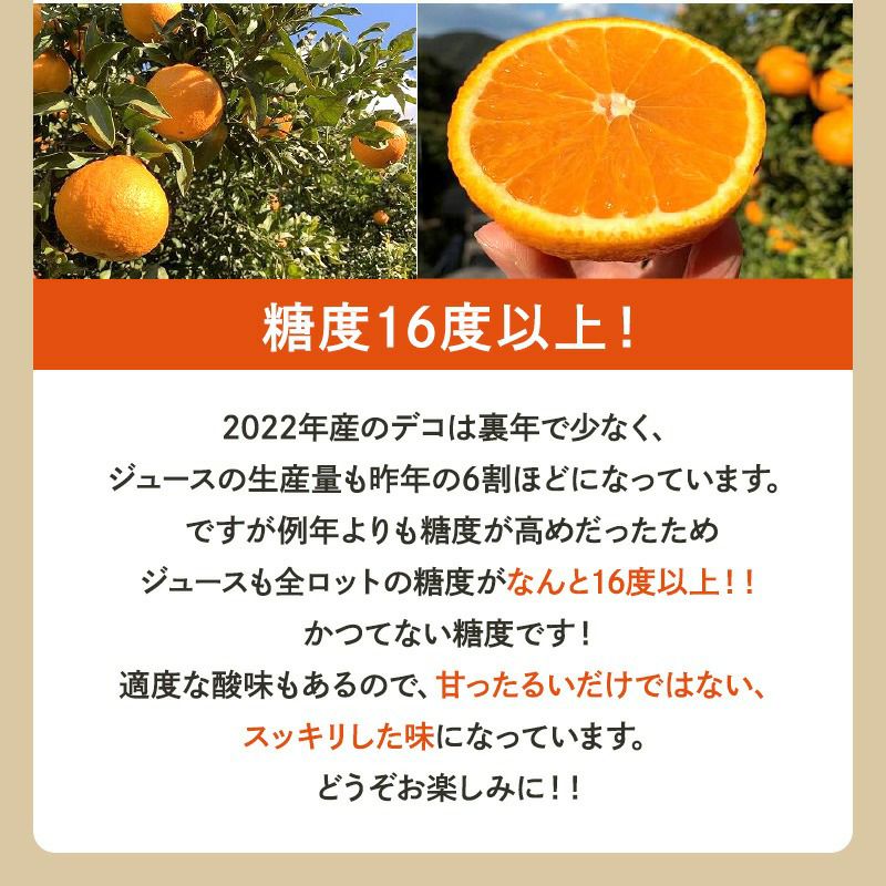 オレンジジュース 国産 むつがわデコジュース 無添加 １００％果汁 720ml 12本入り１ケース