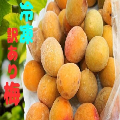 福井梅 新平太夫 通販 福井くいしんぼ市場