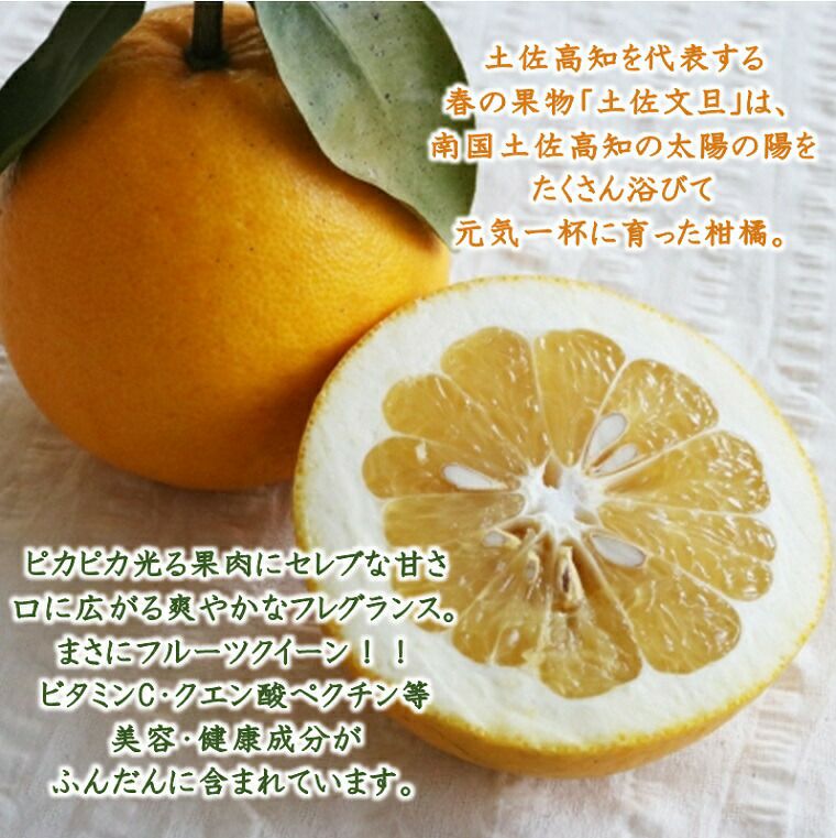 高知県産 訳あり文旦 約5㎏箱＊ご家庭用です＊傷、スレ、不揃い、B級品 