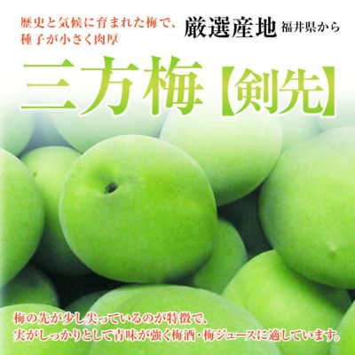 福井梅 新平太夫 通販 福井くいしんぼ市場