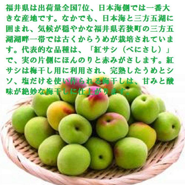 本日収穫】福井県産 紅映梅 小さめサイズ10キロ(黄梅) - メルカリ