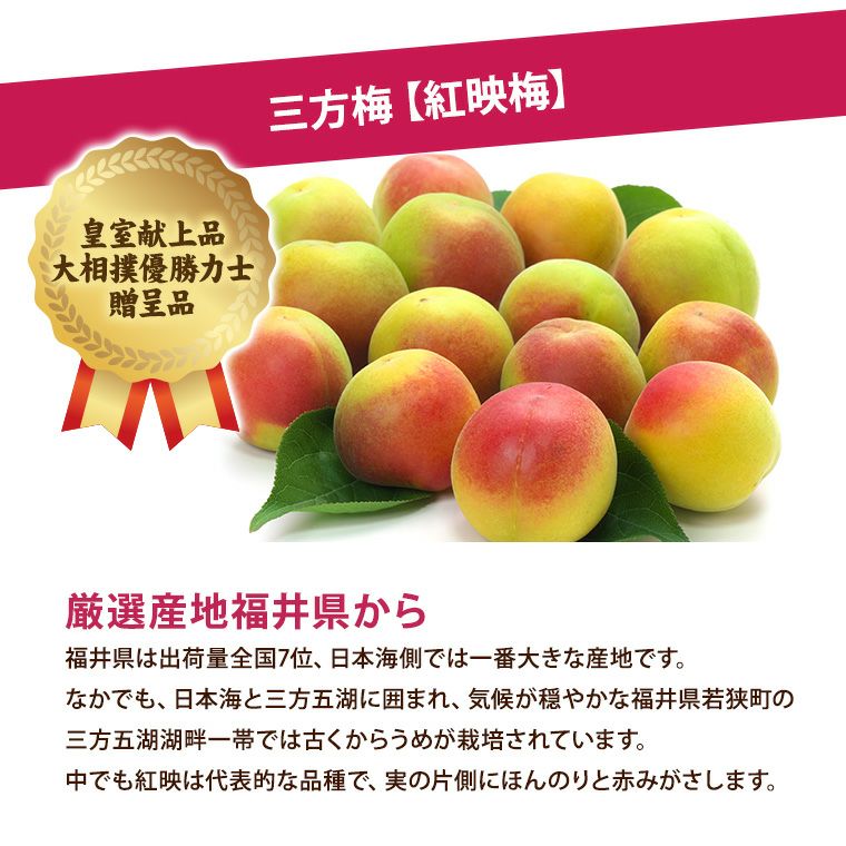 福井梅 三方梅 紅映梅 べにさしうめ 梅通販 福井くいしんぼ市場
