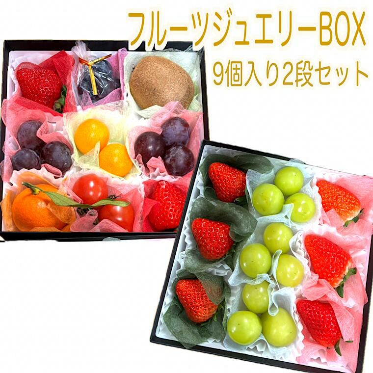 ﾌﾙｰﾂｼﾞｭｴﾘｰBOX9個入り | フルーツギフトの福井くいしんぼ市場(公式)