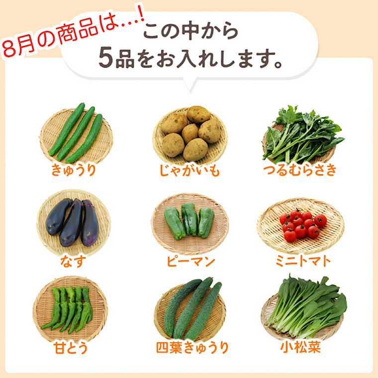 有機野菜セット８品＋白米約５Kg＋ おまけ 有機野菜セット8品＋白米5Kg ＋おまけ （お米セットも可）